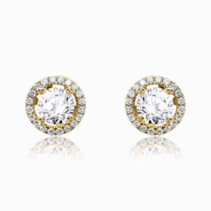 Shining earrings